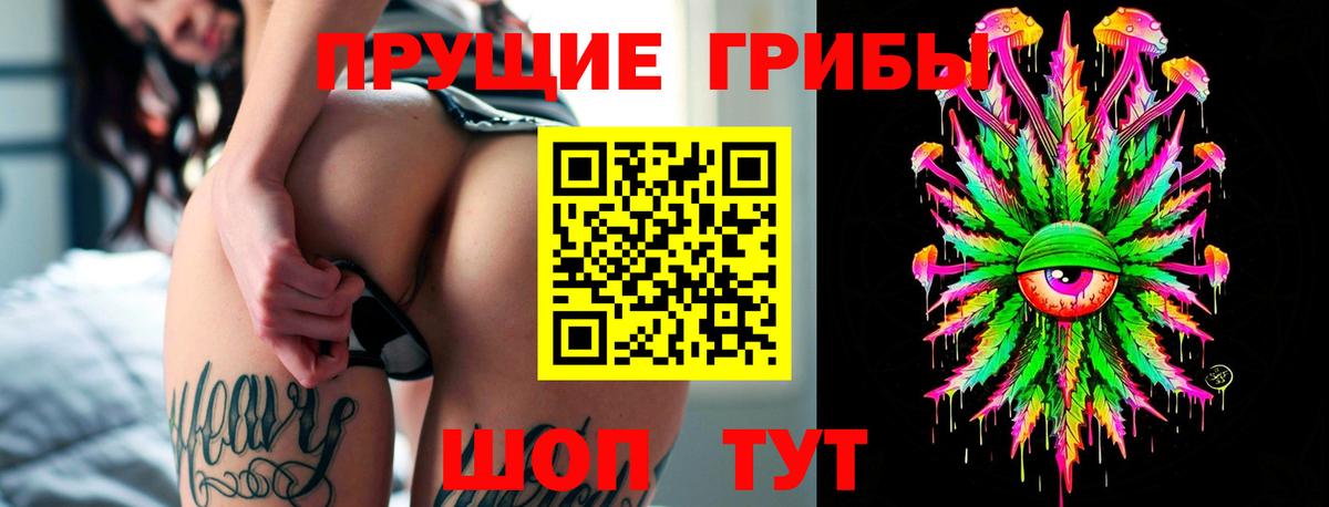 Галлюциногенные грибы мухоморы Саратов
